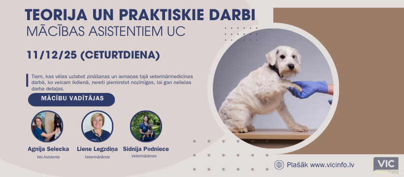 Klātienes mācības veterinārārstu asistentiem - teorija un prakse mazo dzīvnieku veterinārijā!