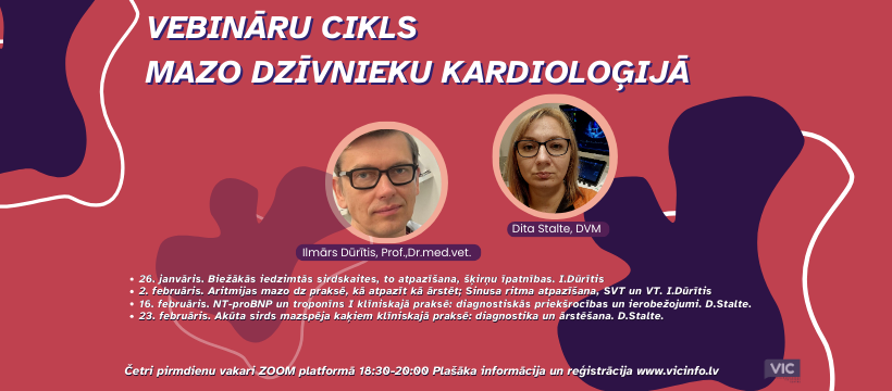 Vebināru cikls mazo dzīvnieku kardioloģijā