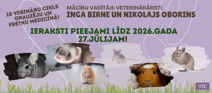 Ierakstos VIC padziļinātais mācību cikls grauzēju un fretku medicīnā AR VETERINĀRĀRSTIEM INGU BIRNI UN NIKOLAJU OBORINU.